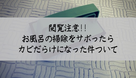 お風呂の掃除をサボったらカビだらけになった件について
