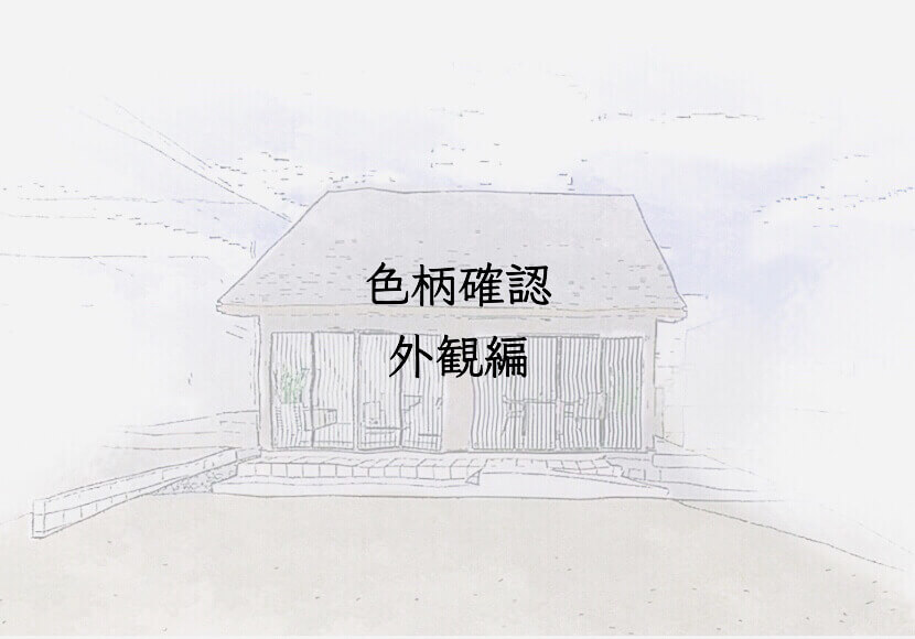 色柄確認外観編